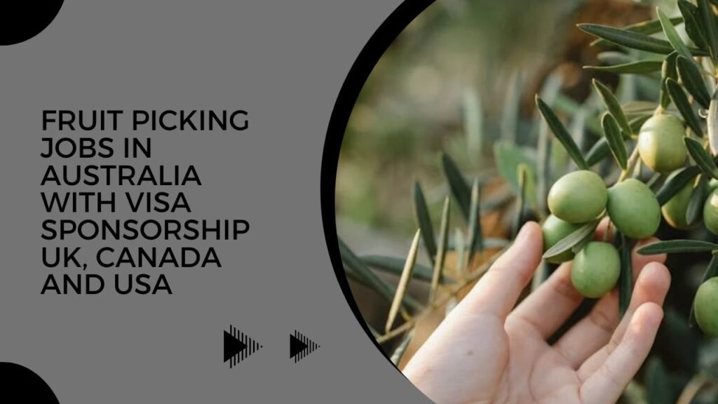 Fruit picking jobs in Australia with visa sponsorship UK, Canada And USA